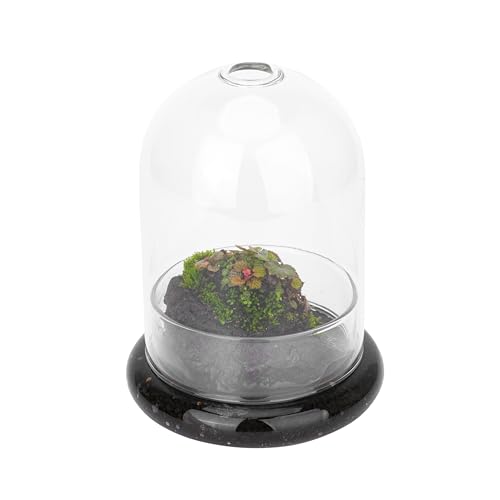 Small Glass Dome with Base and Air Hole, 4.7 x 4.7 x 6.3 Inch