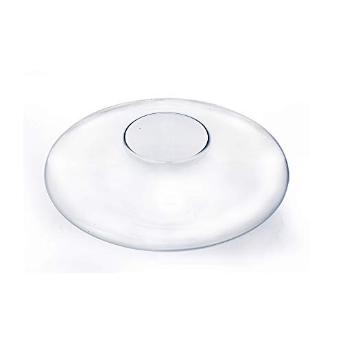 WGV Bowl Glass Vase, Diameter 15", Height 7.5", (Multiple Sizes Choices) Clear Flat Oval Bubble Floral Planter Terrarium for Wedding Event Home Decor, 1 Piece (VBW1507) - size: Flat Oval Bubble Bowl 15"D