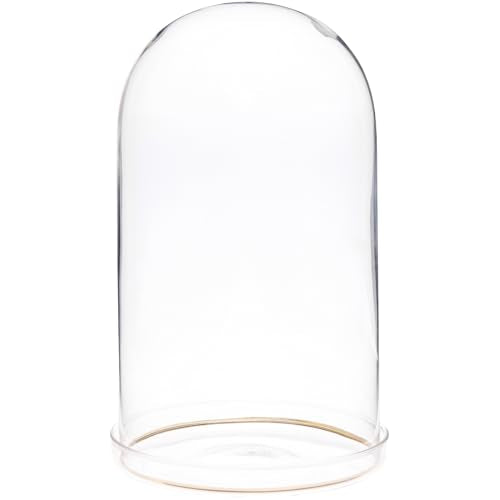 Plymor 4.5" x 8" Glass Display Dome Cloche with Gold Rim (Clear Glass Tray Base) - size: 4.5" x 8"