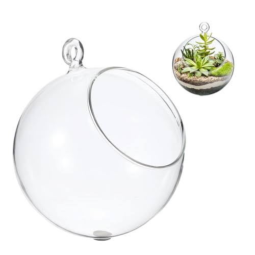 M METERXITY 1-Pack Clear Glass Air Plant Terrarium, 3.1 Inch Angled with Handle Plant Display Glass for Windowsill/Outdoor Garden/Home Decor, Flat Bottom Globe Bowl Terrarium [Transparent] - size: 3.1 Inch