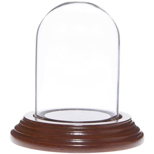 Plymor 2" x 3" Mini Glass Display Dome Cloche (Walnut Veneer Base) - color: Walnut Veneer Base