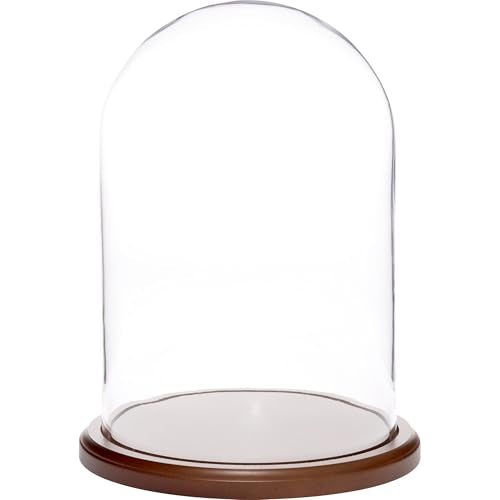 Plymor 8 inch x 12 inch Glass Display Dome Cloche (Dark Wood Base) - color: Dark Wood Base