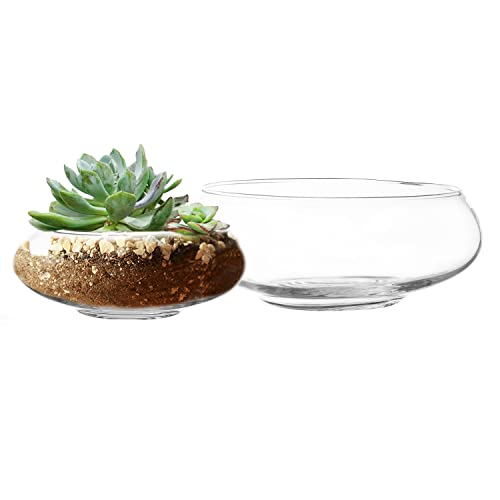 Royal Imports Round Glass Vase Clear Decorative Glass Bowls Set of 2