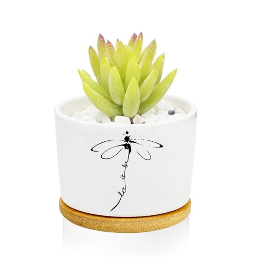 1Pcs Dragonfly Succulent Pots with Drainage and Bamboo Tray, Ceramic Pot - style: Dragonfly