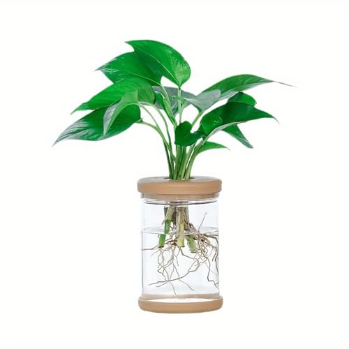 Separated Desktop Glass Flower Vases - Ideal Plants Propagation Stations for Living Room, Bedroom Decoration,Home Decor
