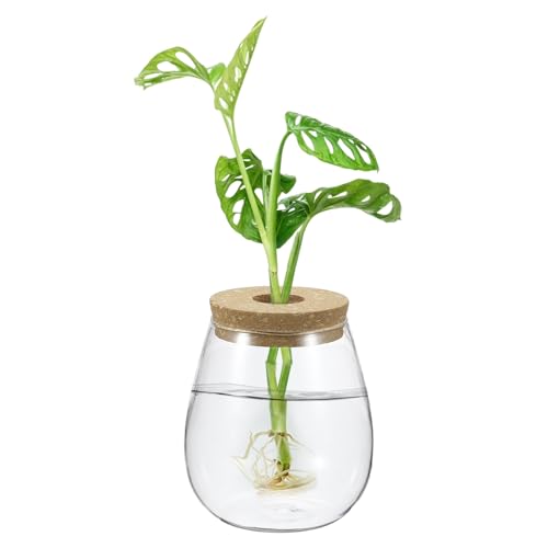 M METERXITY 1 Pack Glass Planter Terrarium with Wooden Cover, Desktop Plant Propagation Station Clear Vase for Hydroponic Plants Propagation/Home Garden Decor/Plant Lover [4.72'' x 5.51'']