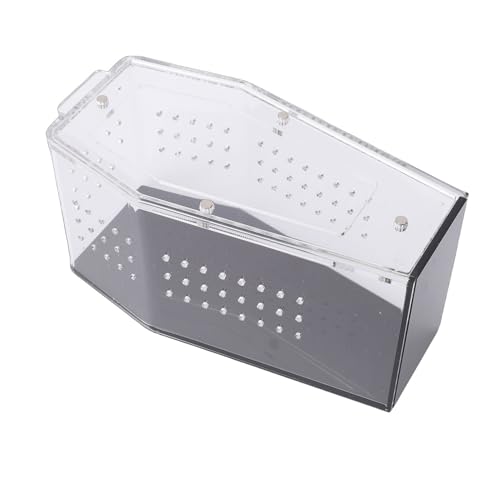 Diydeg Jumping Spider Enclosure, Acrylic Coffin Shape Reptile Terrarium with Ventilation Holes, for Jumping Spiders Small Reptiles Insects Tarantula Beetle, 5.1x6x9.5 Inches
