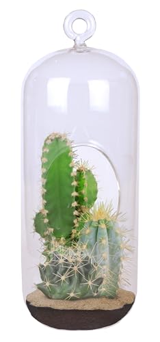 Cactus Terrarium Grow Kit by Unique Gardener - DIY Indoor Hanging or Standing Garden Starter Set with Complete Supplies, Easy to Grow Terrariums for Home Decor! - style: Cactus Collection