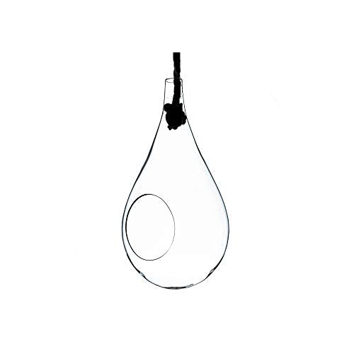 WGV Hanging Planter Terrarium, Width 5", Height 9.5", DIY Clear Glass Succulents Air Teardrop Floral Container (Including Rope), Candle Holder Vase for Outdoor Indoor Decor, 1 Piece - size: Teardrop 9.5"H