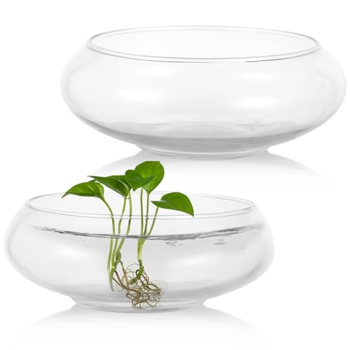 2 PCS Glass Bowl Vases, Wide Mouth Round Glass Terrarium, Clear Glass Hydroponic Planter, Floral Container, Fish Tank Aquarium, Two Sizes for Desktop Decor, Plant Displays, Home and Office Decor