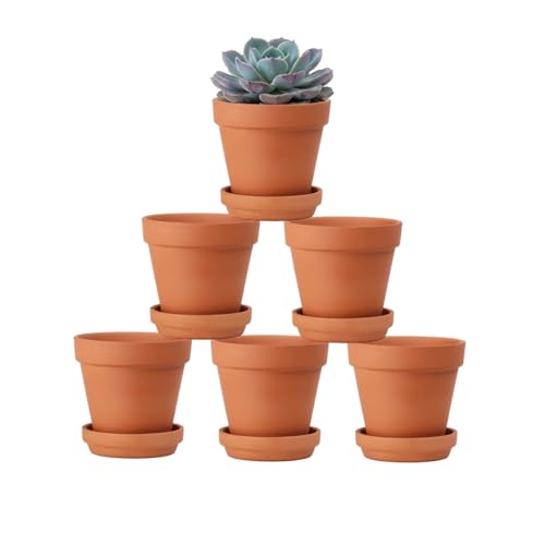 Riseuvo 4 Inch Terracotta Pots with Saucer – 6 Pack Small Clay Flower Pots with Drainage Hole for Succulents, Herbs, Indoor & Outdoor Plants, Wedding Favors - size: 4 inch