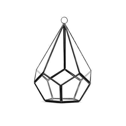 WGV Hanging Geometric Planter Terrarium Width 5.5" Height 8" Clear Glass Black Frame DIY Succulent air Plant Miniature Fairy Garden Windowsill Decor Teardrop 1 Piece - color: Black, size: Geo-Droplet 8"