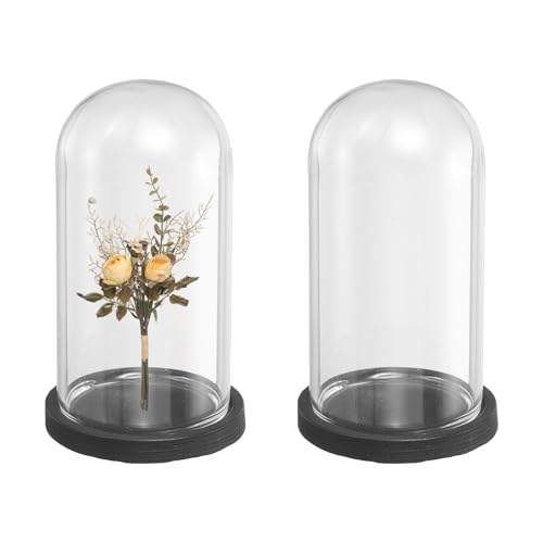 uxcell 2pcs Glass Display Dome 1.4"x2.1" Clear Cloche Glass Dome Bell Black - color: Black, size: 1.4x2.1"