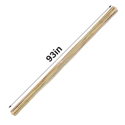 Natural Bamboo Plant Stake (Approx 8ft 10pcs 1") Sturdy Bamboo Poles, Durable Plant Bamboo Stake, Garden Climbing Plant Bracket. - size: 93in-10PCS