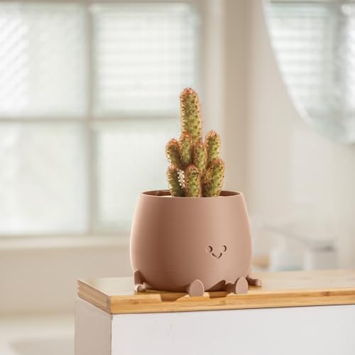 TOPOLA Happy Face Planter, 5.2 Inches Plastic Plant Pot, Self Watering Plant Pot with Drainage Holes for Indoor Outdoor, Succulent Pot, Funny Flower Pot, Khaki - color: Khaki