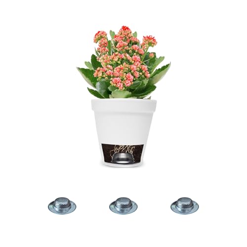 Inner Plant Pots Drainage Insert - Anti-Clog Aeration Grid for Mid Small Planter Pots,Excellent Airflow and Drainage to Prevent Root Rot.Stainless Steel, 3 Sets. - size: Small