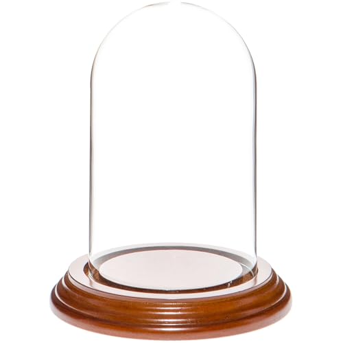 Plymor 3" x 5" Glass Display Dome Cloche (Walnut Veneer Base) - color: Walnut Veneer Base
