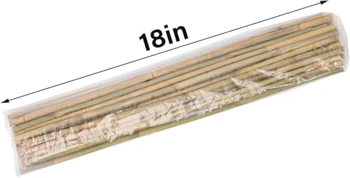 Natural Bamboo Plant Stakes (BS-18in-30pcs) - size: BS-18in-30pcs