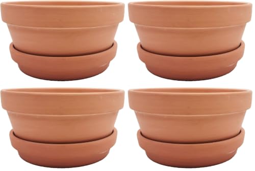 Yishang Large Terracotta Pots with Saucer/Tray for Succulent - 8 Inch Cactus Plant Containers Indoor Garden Bonsai Pots with Drainage Hole - Set of 2, Unglazed Clay Ceramic Pottery Planter (Pack of 2) - size: 8 Inches (Pack of 2)