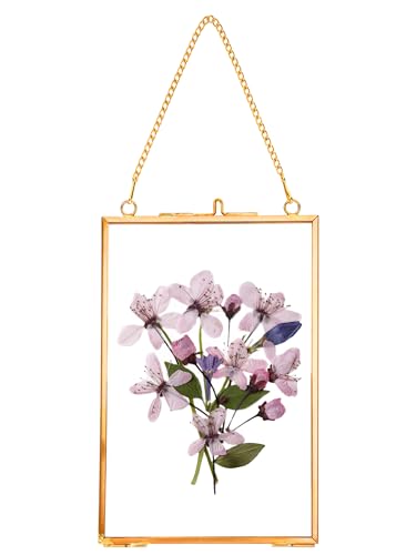 REDHUGO Hanging Pressed Flower Frames, Double Glass, Gold, 4x6 Inches - color: Gold, size: 4L" x 6W"