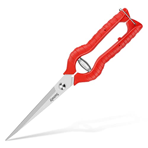 Extra Long Pruning Shears, Gardening Hand Pruners with Stainless Steel Blades, Garden scissors for Arranging Flowers, Trimming Plants, Harvesting Herbs, Fruits or Vegetables, 9.5IN