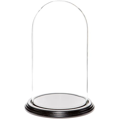Plymor 5.5" x 10" Glass Display Dome Cloche (Black Wood Veneer Base) - color: Black Wood Veneer Base