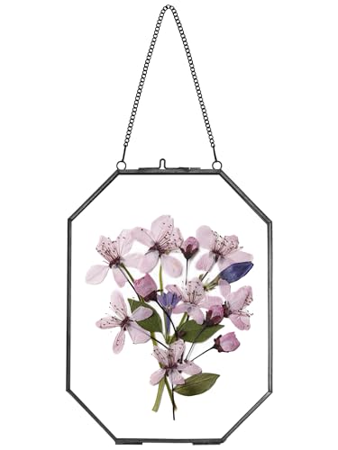 REDHUGO Pressed Flower Frames, Glass Floating Frames for Display Dried Plant Specimen Picture, Hanging Brass Photo Frame with Chain, Double Clear Glass, Vintage Wall Decor, Octagon, Black, 6x8 Inches - color: Black, size: 6 X 8 inches