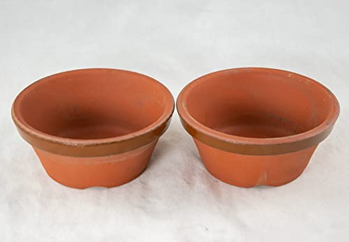 2 x Japanese Tokoname Bonsai Training Pot, Cactus & Succulent Planter with Mesh - 4"x 4"x 1.5" (2X#3) Dark Brown