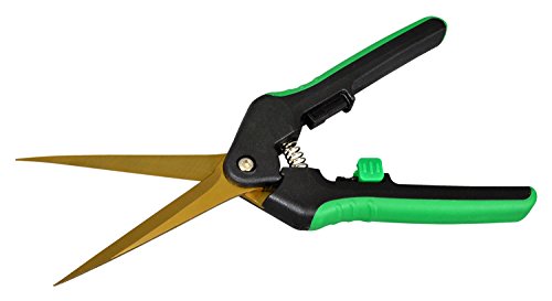 Shear Perfection Gold Titanium Trimming Shears, 3" Straight Blades - size: 3 Inch | Straight Blades, style: Trimming Shear