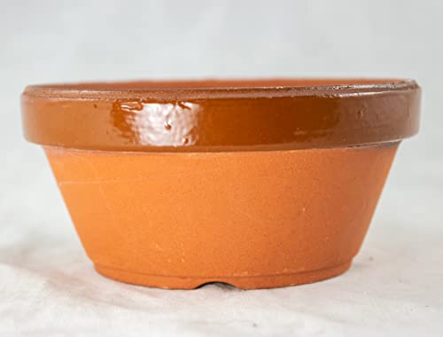 Japanese Tokoname Bonsai Training Pot, Cactus & Succulent Planter with Mesh - 4.25" to 7.25" (5"x 5"x 2.25") - size: 5"x 5"x 2.25"