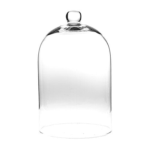 Abbott Collection Classic Shaped Cloche | Glass Display Dome, For Collectibles & Treasures, Clear, 10"H - size: 10 inches H