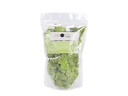 Josh's Frogs Reindeer Moss - Chartreuse (1 Quart) - color: Chartreuse