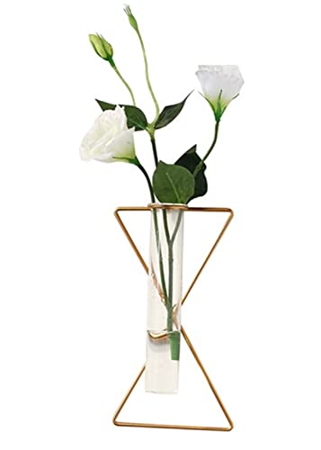 yaooral Luxury Nordic Hanging Wall Mounted Gold Flower Vase | Metal Frame Glass Tube/Minimalist/Cute Exquisit Pretty/Geometric Hydroponic Bud Vase Decor for Wall Home Wedding Farmhouse - style: triangle