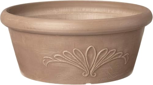 Arcadia Garden Products PSW TA30TP Plastic/Stone/Wood Composite Bulb Pan – No Drainage Hole (Drillable), Planter Bowl for Succulents, Bonsai, Fairy Gardens, Herbs,12" x 5", Taupe (Pack of 12) - color: Taupe, size: 12"x5" (Pack of 12)