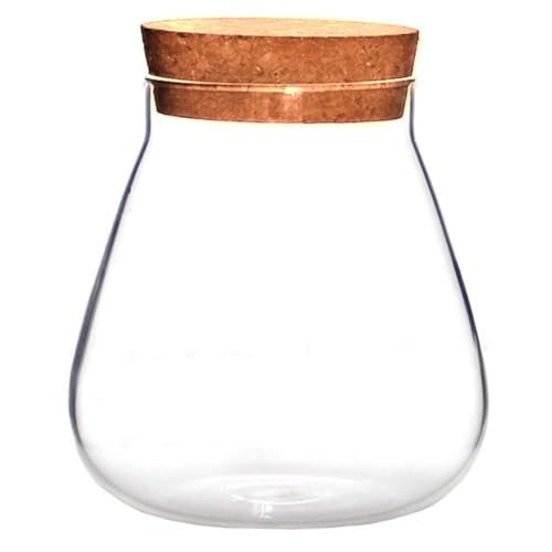 HOMSFOU Clear Glass Bottle Terrarium Jar with Cork Lid Round Diy Craft Container for Succulents Air Plants Moss Candy or Small Decor 4.52 X 3.93 X 3.93 in