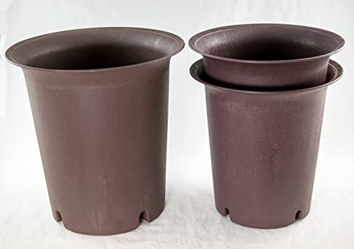 Yubonzai 3 Mix Round Cascade Plastic Bonsai Training Pot, Cactus & Succulent, Orchid Planter 6.5" + 7.75" - Tan Color