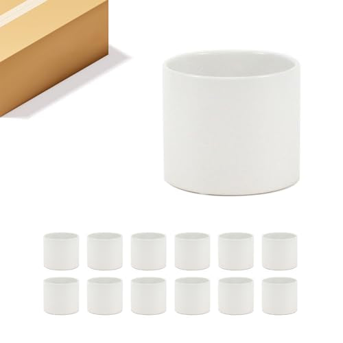 WGVI Matte White Ceramic Cylinder Vase Width 5.5" Height 5", Flower Arrangements, Candle Holder, Terrarium Planter Pot, Storage Container Organizer, Pen Brush Holder, Tabletop Decor, Bulk, 12 Pcs - color: White, size: 5.5"x5"H (1 Case)