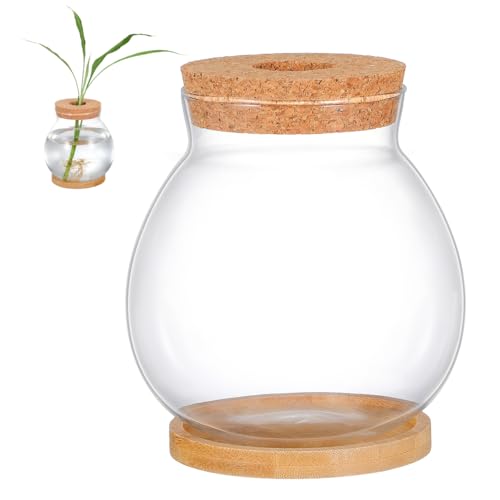 BESTOYARD Desktop Fish Tank Glass Fish Bowl with Bamboo Cushion Hydroponic Terrarium for Betta Plant Display Desk Shelf Table Office Party Decor