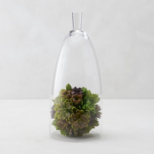 Z Gallerie Jules Cloche Hand-Blown Glass Display Dome, Clear,Small - size: 6.5" DIAMETER 15" TALL