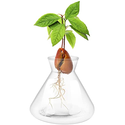 1 PCS Avocado Seed Starter Vases, Pit Planter Pot Avocado Tree Growing Kit Acorn Bulb Vase Grow Glass Blue Hydroponics Container for Gardening Lover - color: Transparent-1pcs, size: 1.96*4.1*3.7inch