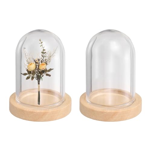 uxcell 2pcs Glass Display Dome 1"x1.3" Clear Cloche Glass Dome Bell Beige - color: Beige, size: 1x1.3"