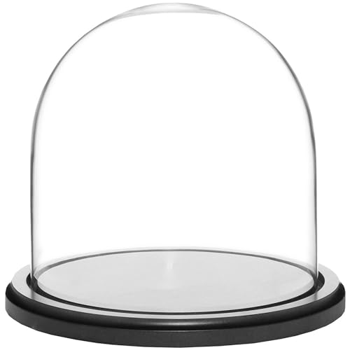 Plymor 8" x 8" Glass Display Dome Cloche (Black MDF Wood Base) - color: Black Wood Base