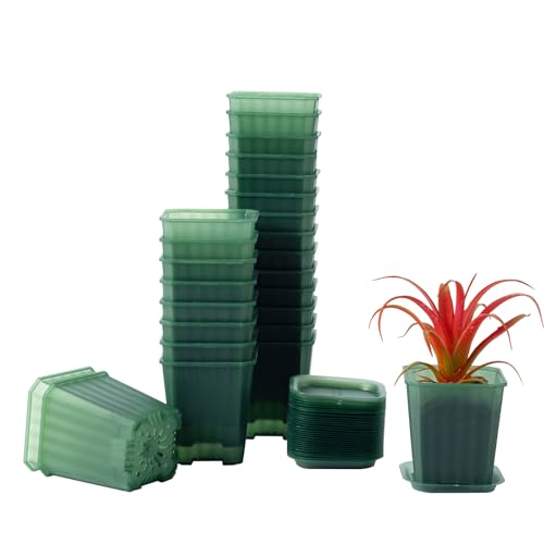 30Pcs 3 Inch Transparent Green Nursery Pots with Saucers, Square Plant Pot | Thick Plastic Flower Planting Pots, Seedling Planter Starter Pots for Outdoor Garden - color: Transparent Green