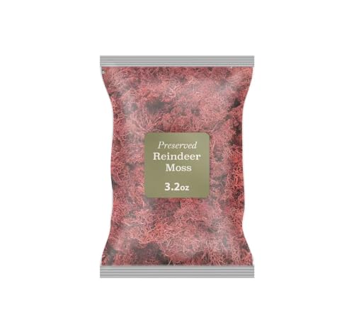 Bergamo Art 95g Preserved Reindeer Moss in Red - color: Red