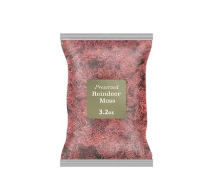 Bergamo Art 95g Preserved Reindeer Moss in Red - color: Red