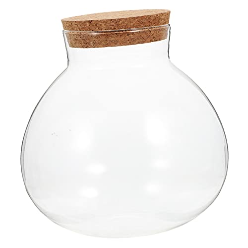 Glass Terrarium Jar with Cork Lid for Flower and Bromeliads