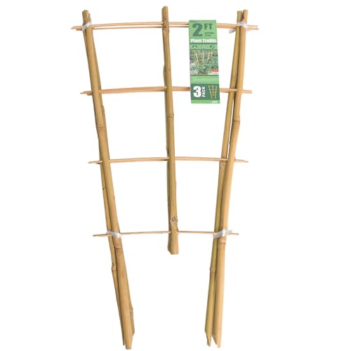 Bamboo Trellis 2FT 3 Pack, Plant Ladder Stakes 24 Inches, Natural Fan-Shaped Bamboo Trellis for Orchid Vines, Monarchs, Ivy and Other Plants Climbing, Help Plant Growth - size: Fan Shaped, Pack of 3