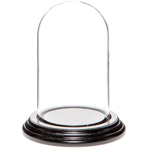 Plymor 3" x 5" Glass Display Dome Cloche (Black Wood Veneer Base) - color: Black Wood Veneer Base