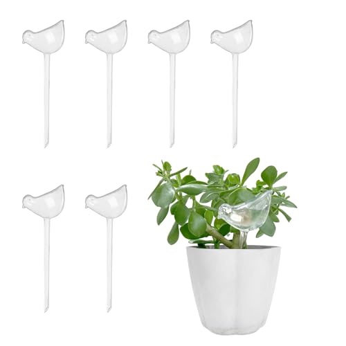 Jabrand All-in-One Plant Care Kit – LECA Clay Pebbles, Artificial Moss & Self-Watering Globes for Hydroponics, Orchids, Indoor & Outdoor Garden Plants