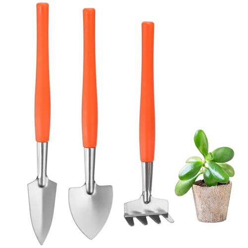 M METERXITY 2-Set Mini Gardening Tools, Stainless Steel Miniature Gardening Rake, Trowel, and Shovel for Seedlings/Bonsai/Succulents/Herbs/Terrariums and Planting [Orange] - color: Orange